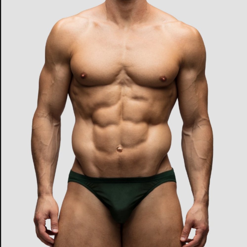 Todd Sanfield Collection Pine Mesh Bikini Brief